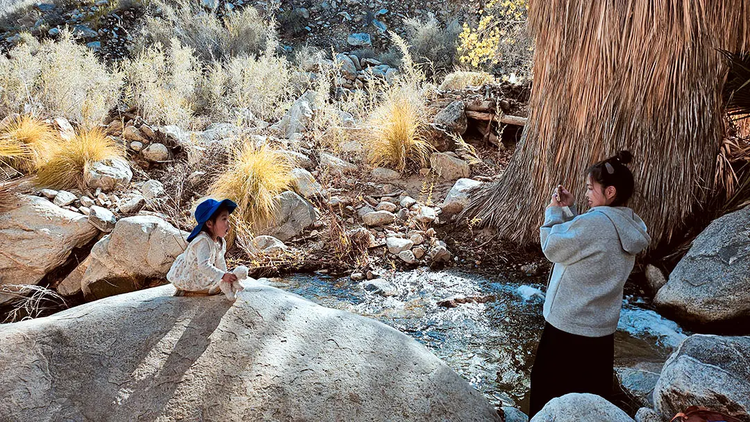 Taking photos at the oasis in Indian Canyon