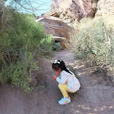 Child observing a lizard