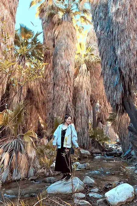 Alice standing on a rock at the oasis, Indian Canyon