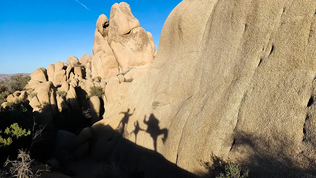 Shadow play: Let’s become Joshua trees!