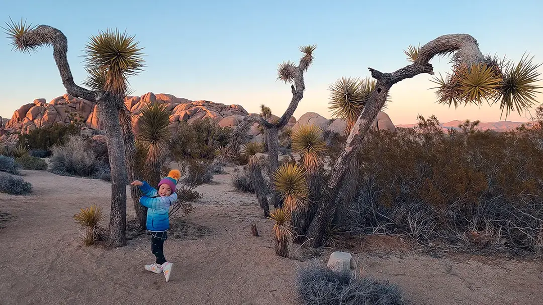 Ellie Joshua Tree