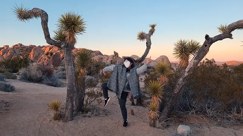 Alice Joshua Tree