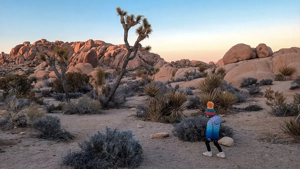 Discovery Trail in Joshua Tree National Park