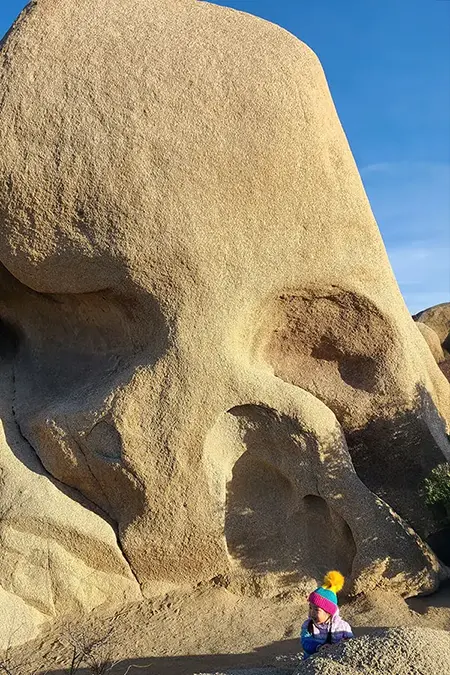 Skull Rock in Joshua Tree National Park