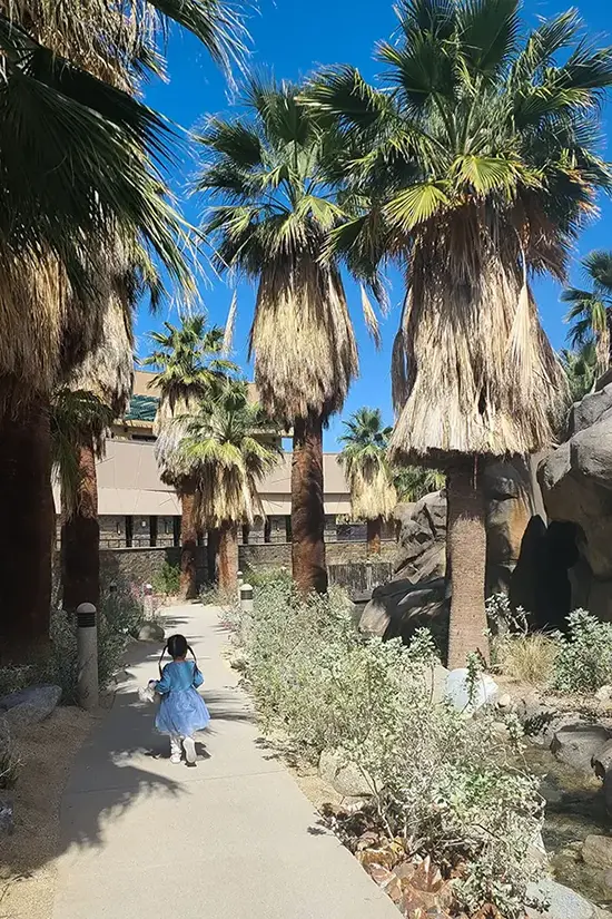 The cultural plaza’s exterior and pathways