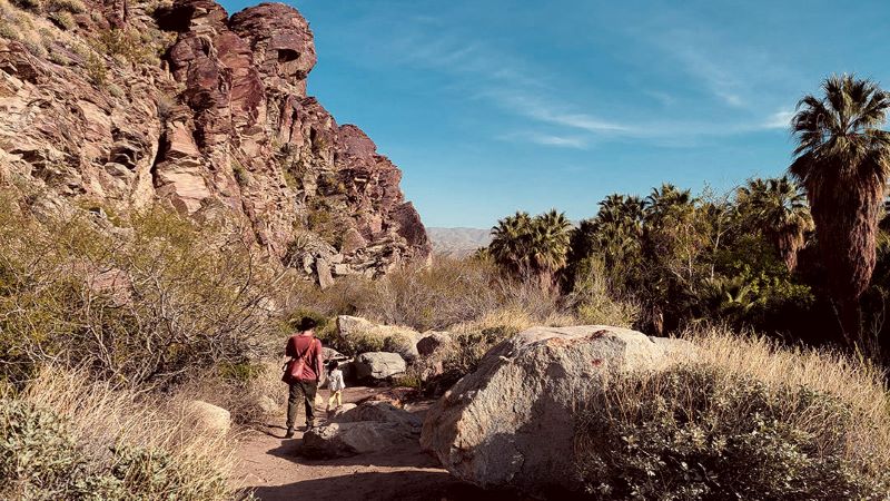 Jazz and Ellie in Indian Canyon